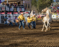 Saturday evening performace of the 2017 Sisters Rodeo© 2017  Gary N. Miller, Sisters Country Photography