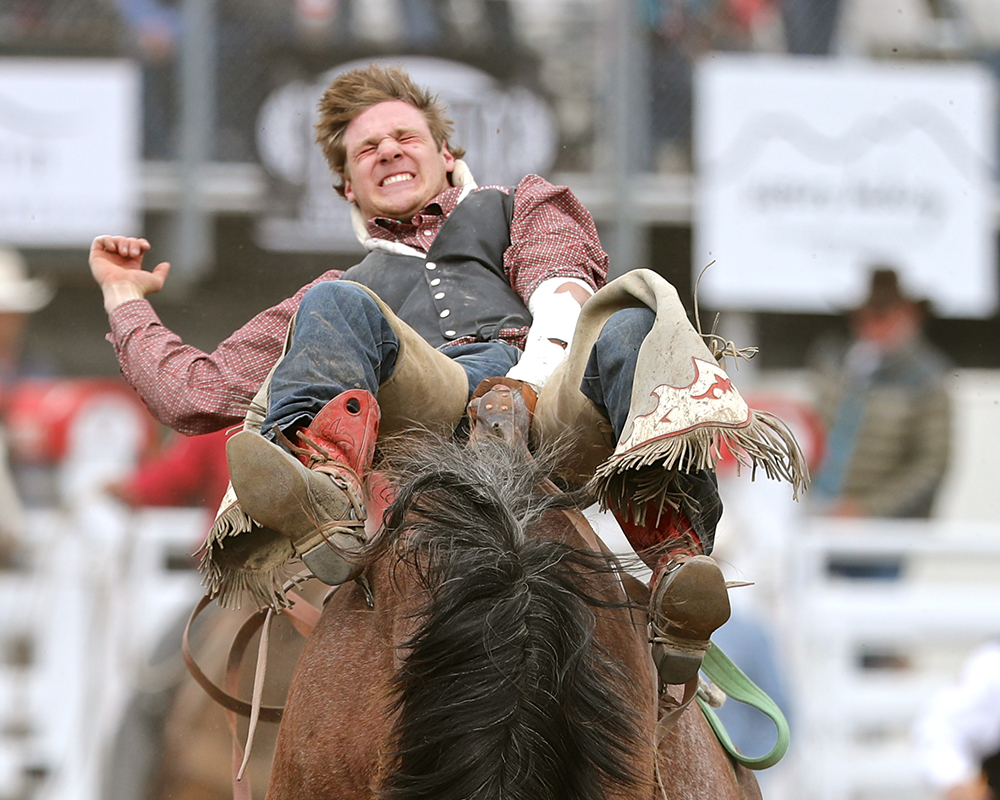 Bareback Riding - Sisters Rodeo